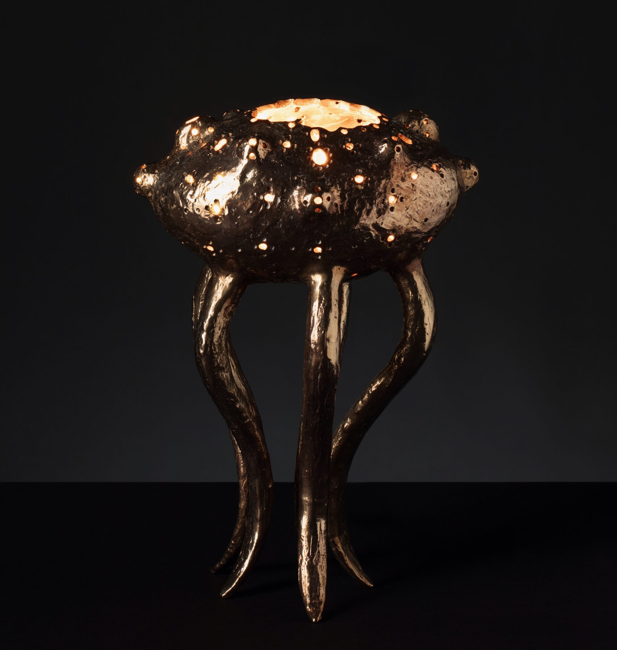 The Jellyfish