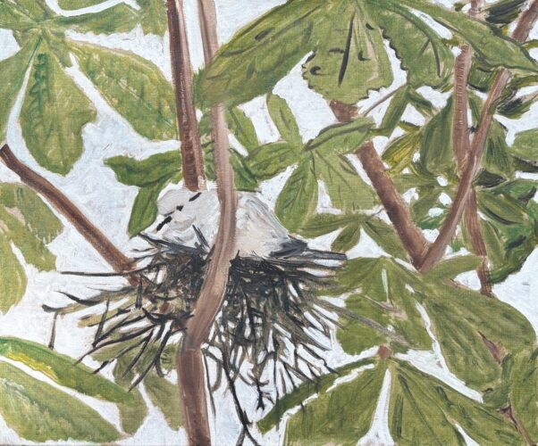 Vogel op nest tussen bladeren
