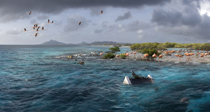 De zee vrij spel: Boneiru e promé