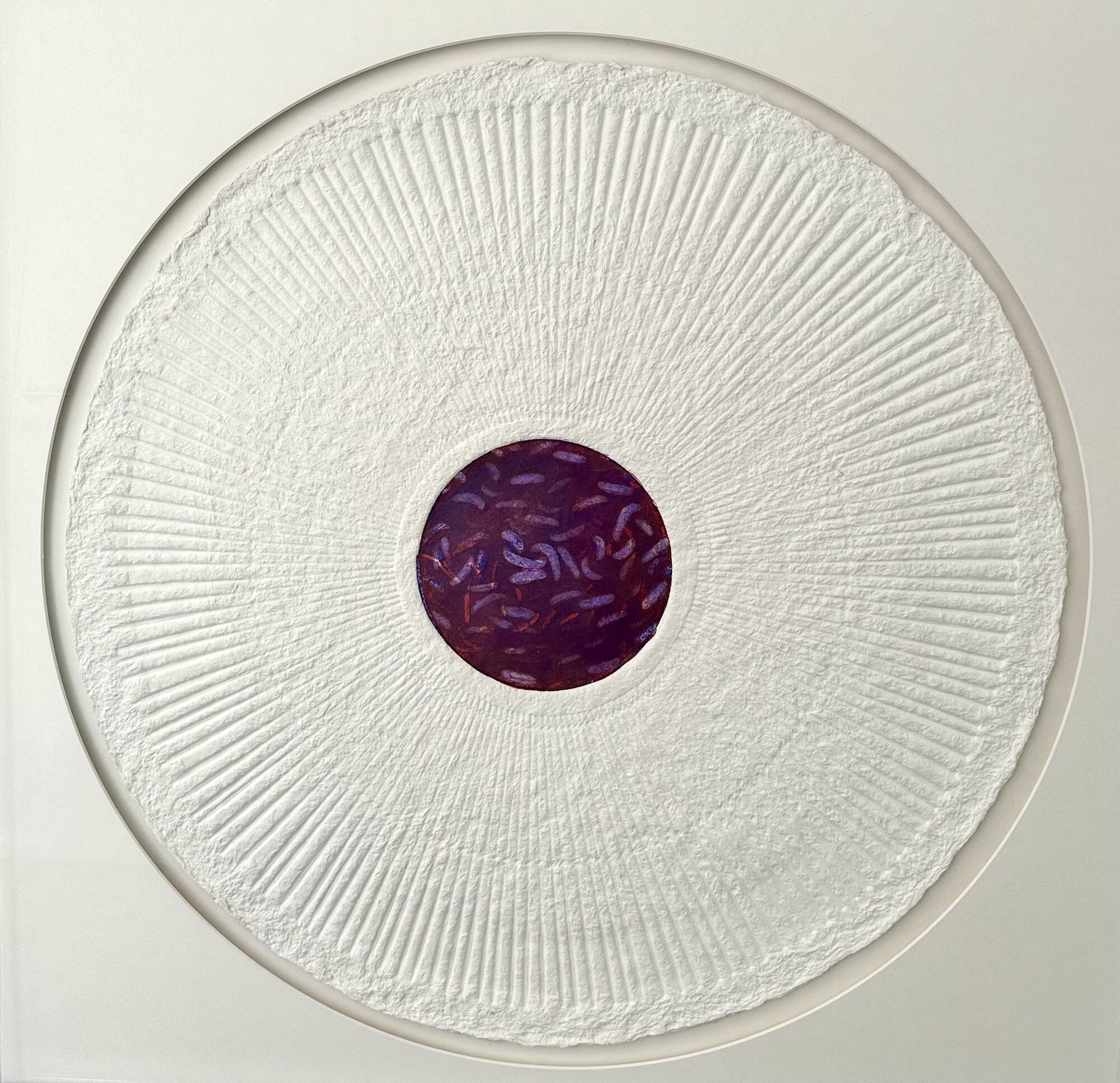 Sun Circle