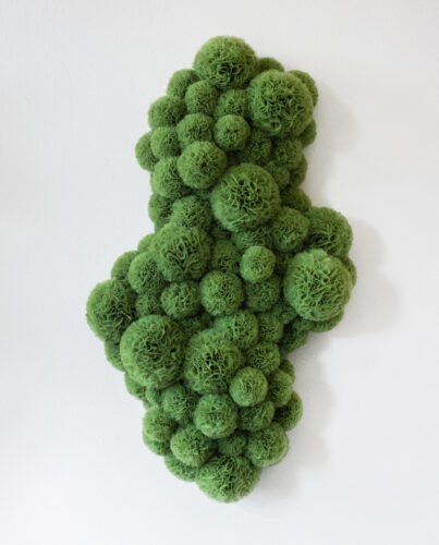 Big Moss Planet