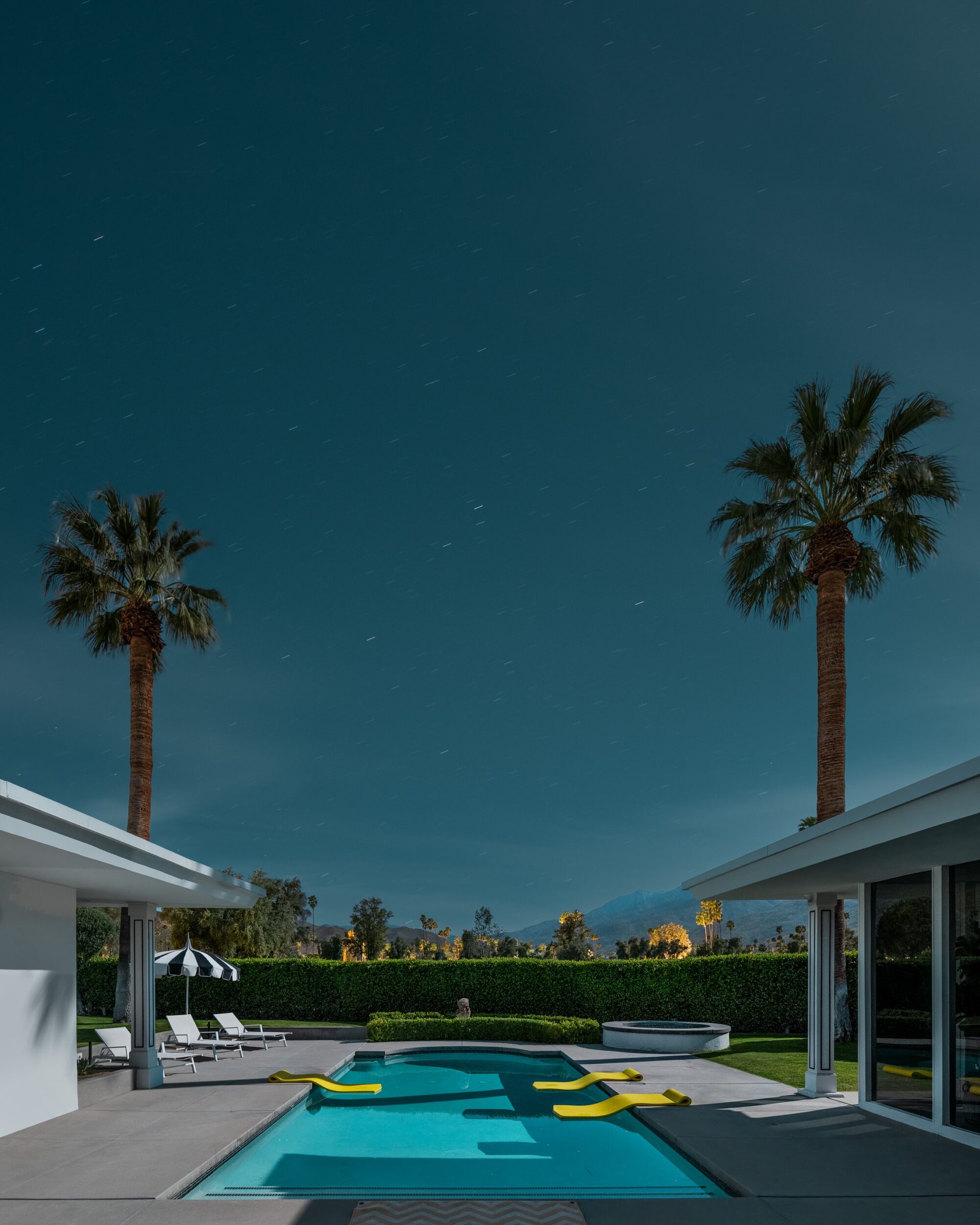 Swim Club - Midnight Modern