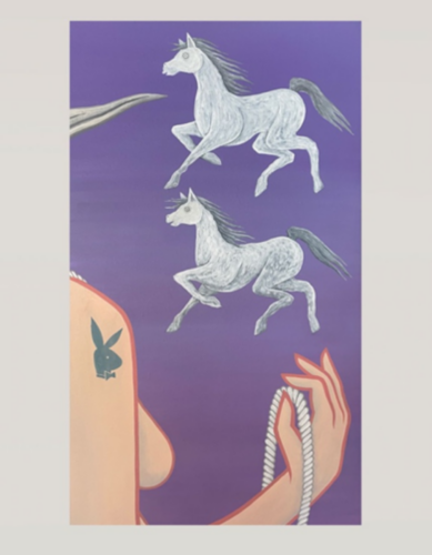 Wild horses 