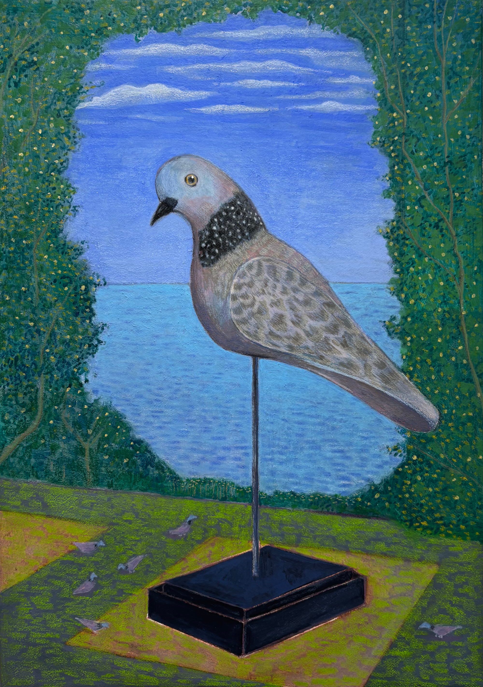 Bird watching