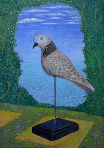 Bird watching