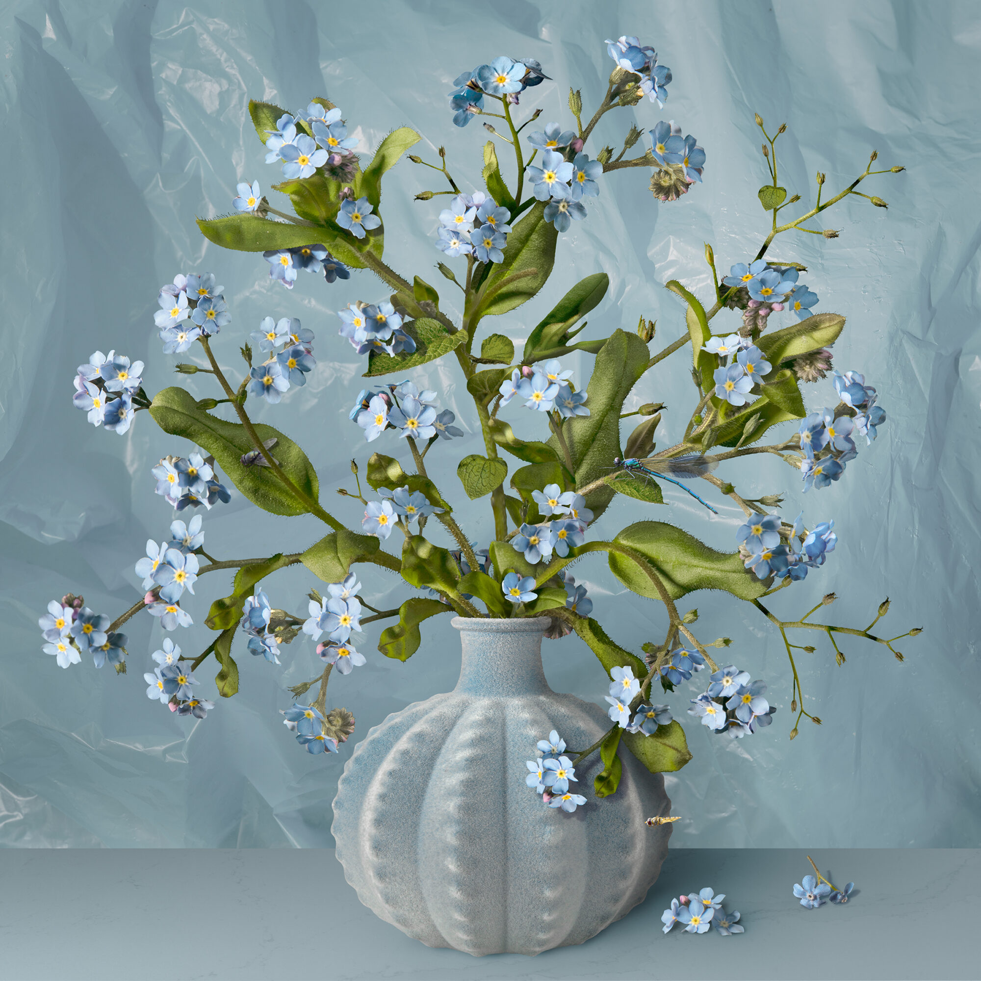 Blue (#06)