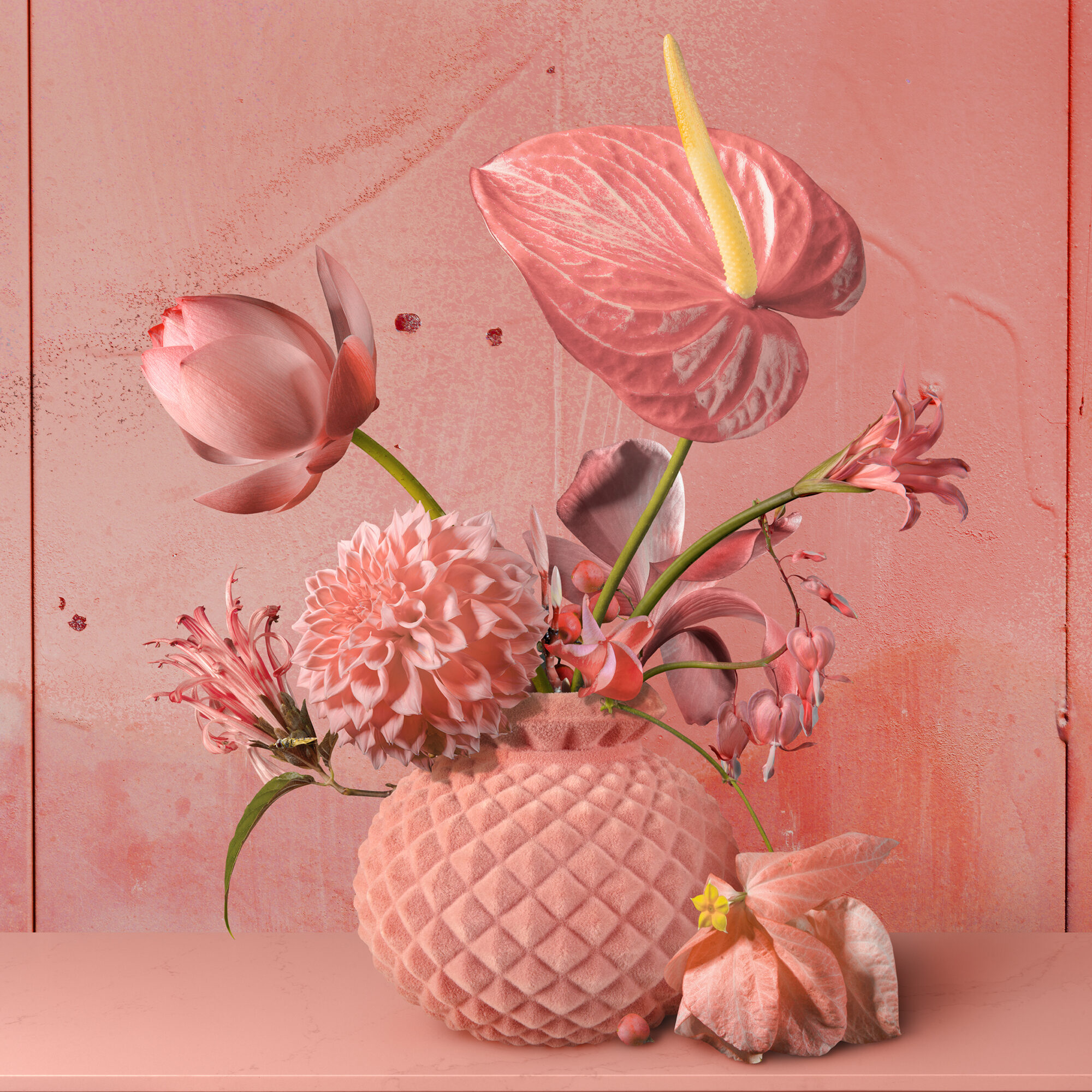 Pink (#06)
